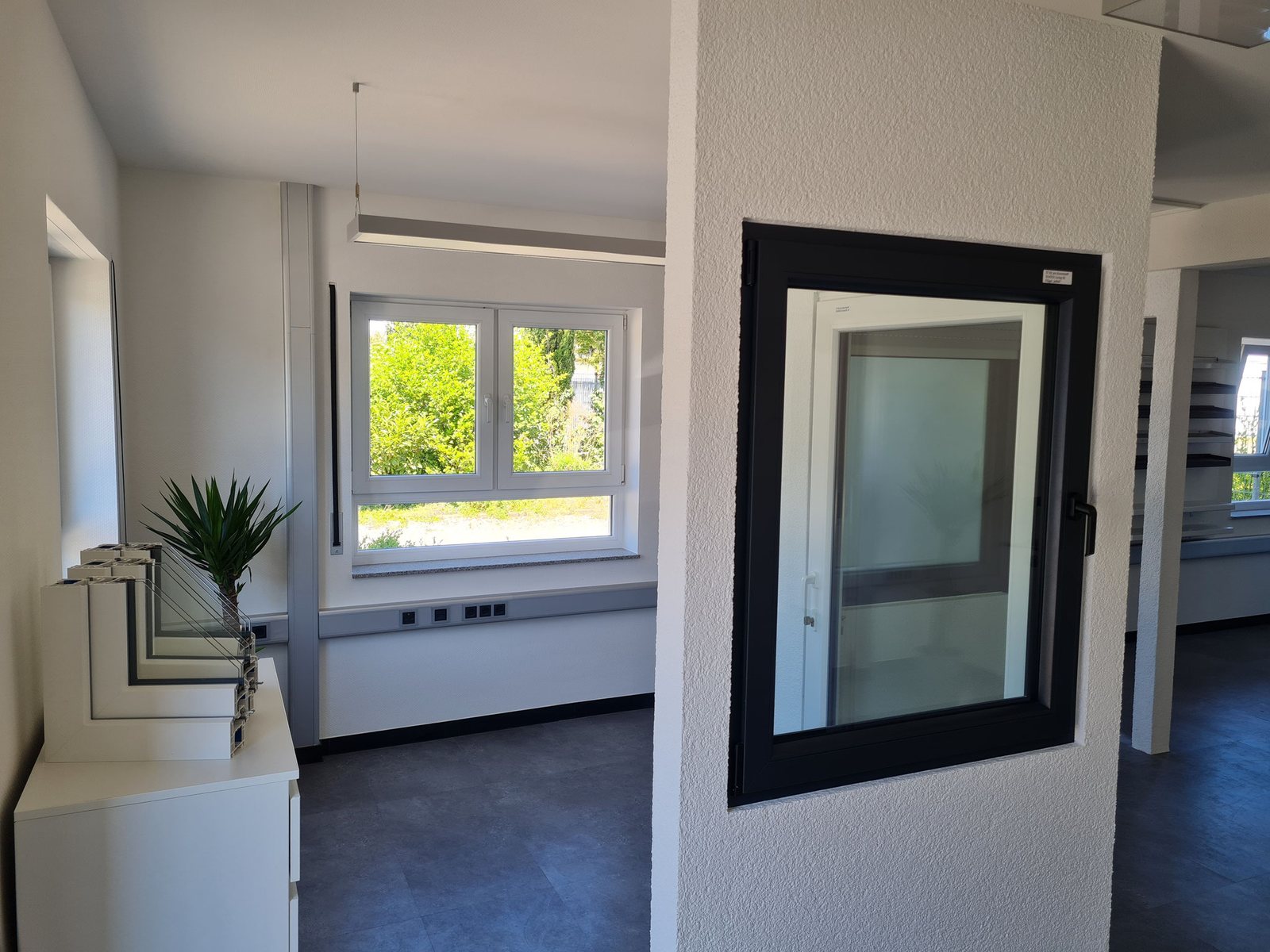 Drei Fenster-Exponate nebeneinander
